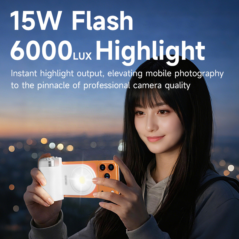 Poignée de flash magnétique po - Photography Lighting Brands avis et prix